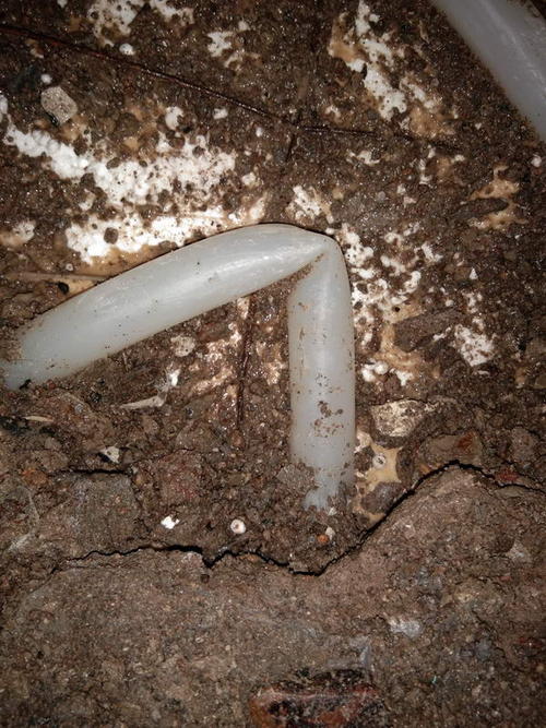 芦山堵点精准查找